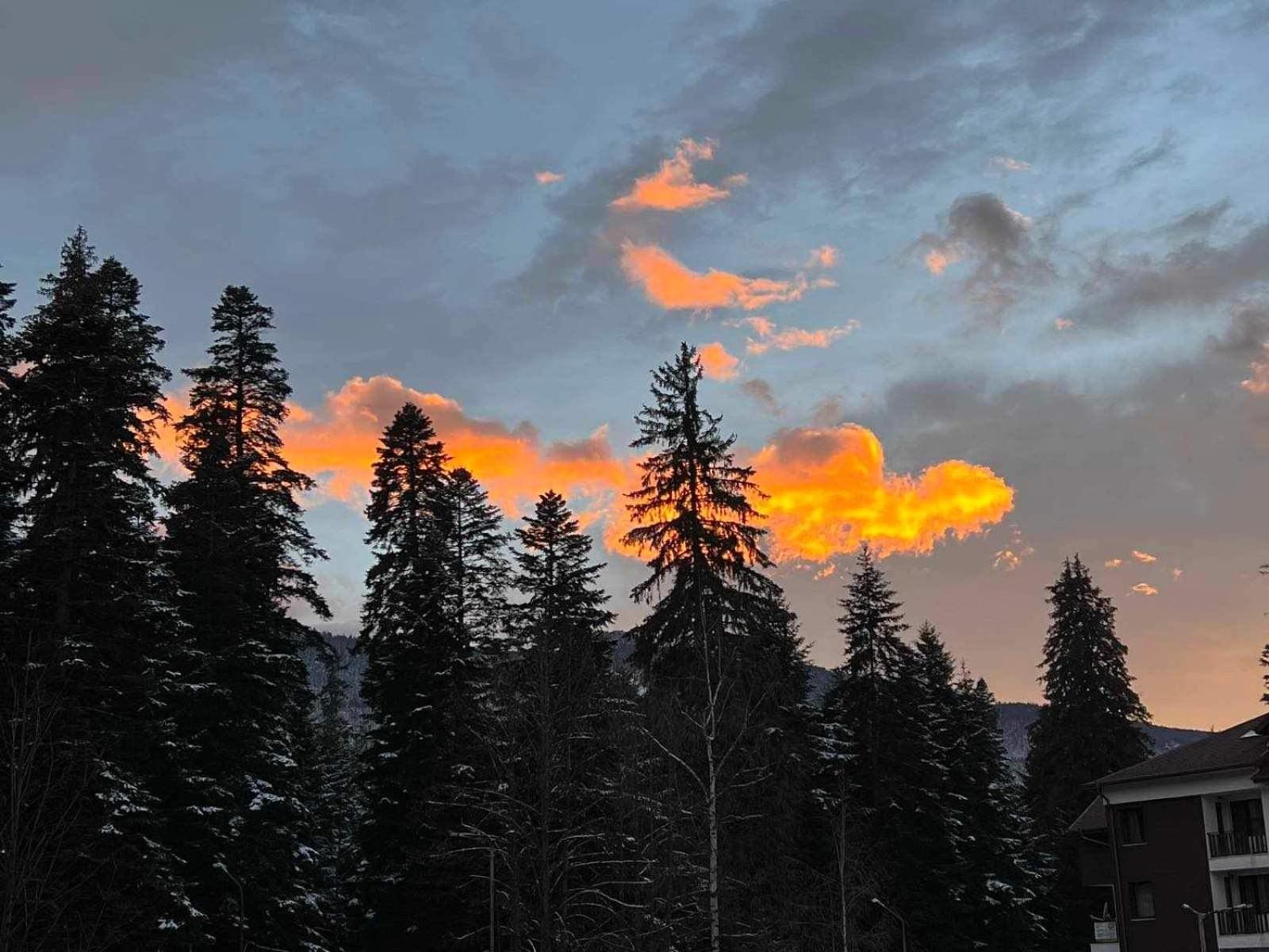 Appartamento Arboro Borovets Gardens E43 Esterno foto